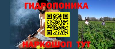 гашик Канаш