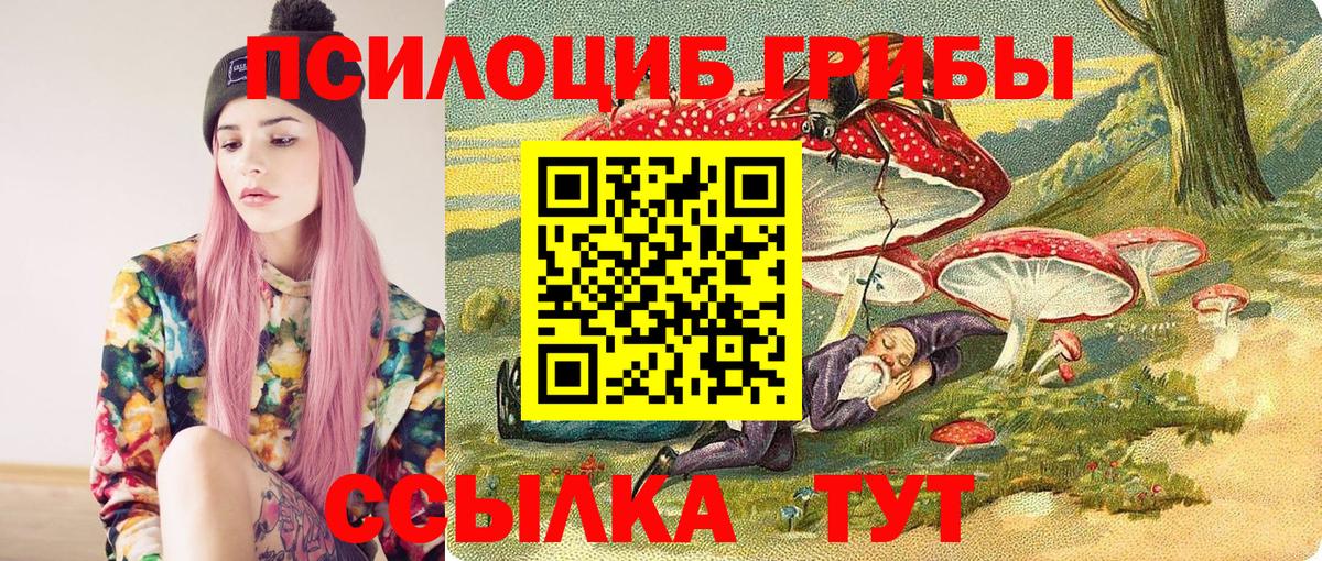 Галлюциногенные грибы прущие грибы Клин