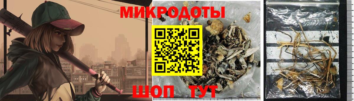 Клин  Псилоцибиновые грибы Psilocybine cubensis  Вход с VPN 